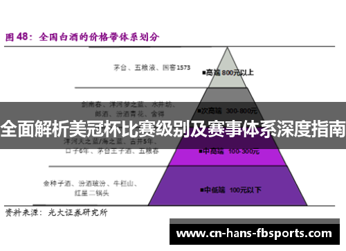全面解析美冠杯比赛级别及赛事体系深度指南