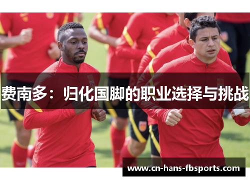 费南多：归化国脚的职业选择与挑战