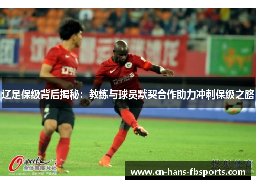 辽足保级背后揭秘：教练与球员默契合作助力冲刺保级之路